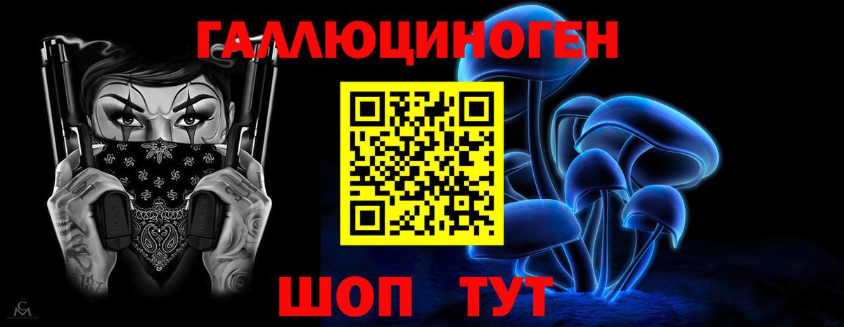 Псилоцибиновые грибы Psilocybe Михайловка